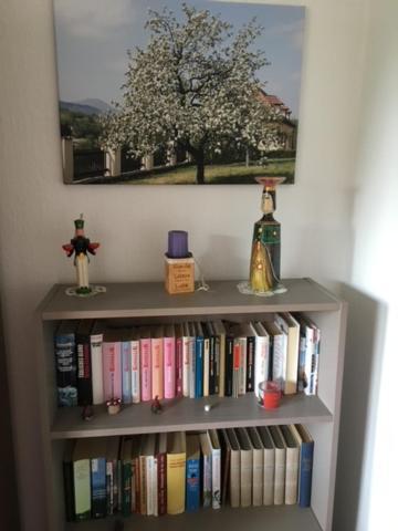 שווארצנברג Ferienwohnung Graupner מראה חיצוני תמונה