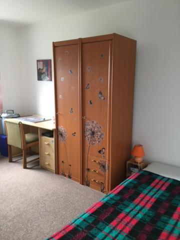 שווארצנברג Ferienwohnung Graupner מראה חיצוני תמונה